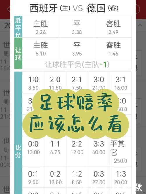 世界杯专业下注平台推介,精确赔率 世界杯专业下注平台推介,精确赔率